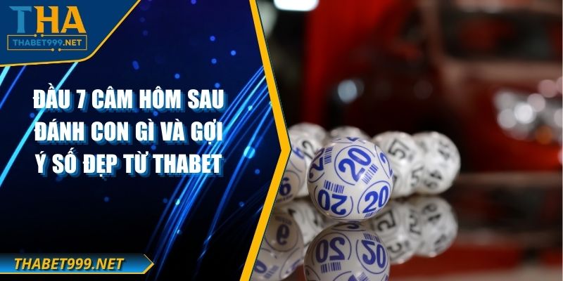 Đầu 7 Câm Hôm Sau Đánh Con Gì Và Gợi Ý Số Đẹp Từ THABET 1 Đầu 7 Câm Hôm Sau Đánh Con Gì Và Gợi Ý Số Đẹp Từ THABET